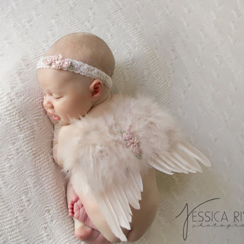Ailes de plumes d'ange pour no - Photography Cheat Sheet avis et prix